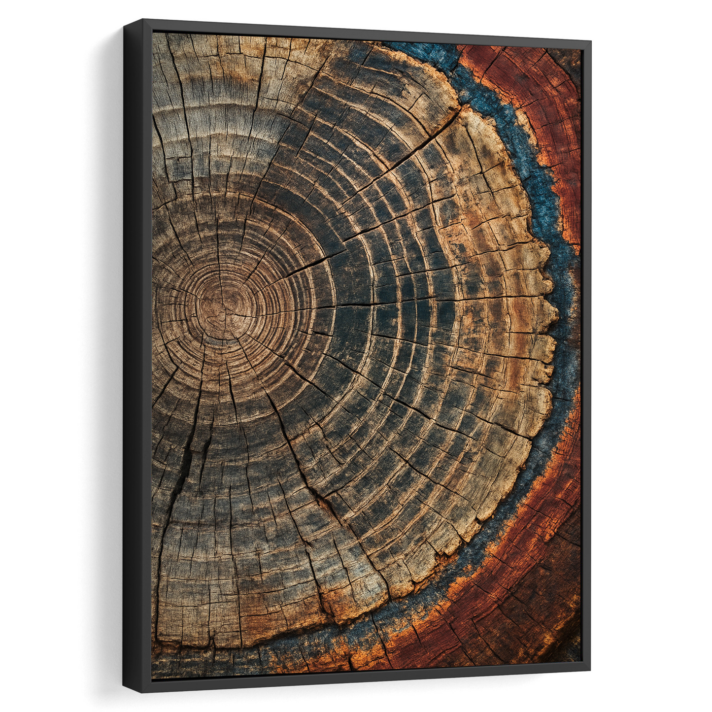 Majestic Tree Ring