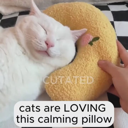 🌙 Moon Pillow & Neck Protector